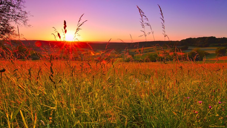 Пейзаж рассвет