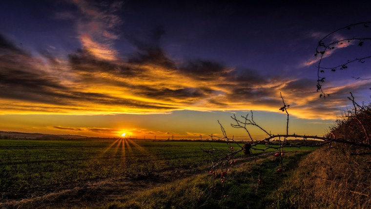 Красивый закат в лесу