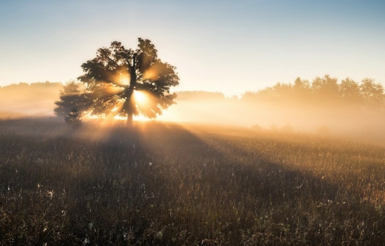 Лето рассвет