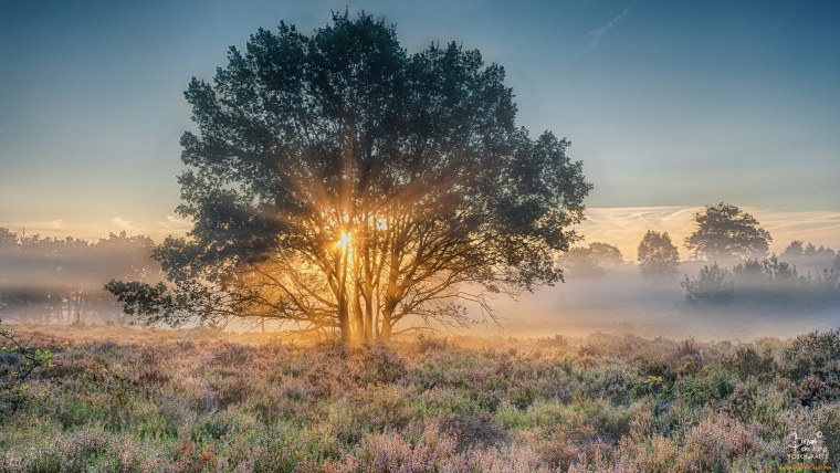 Пейзаж небо рассвет