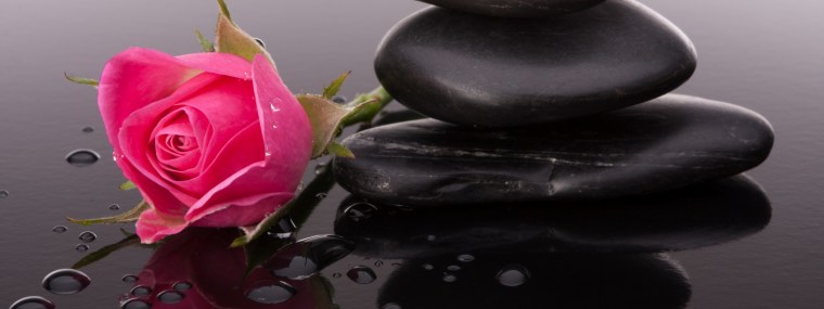 Желтые розы в росе