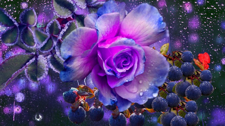 Розы в воде