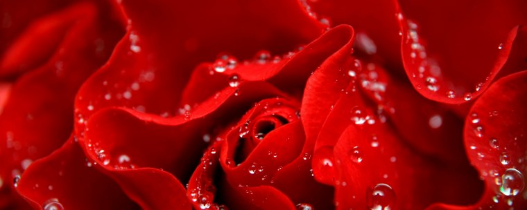 Фредерик Шопен вальс дождя