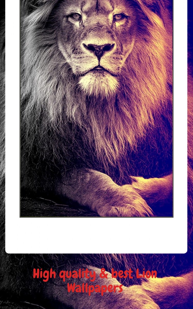 Огненный Лев