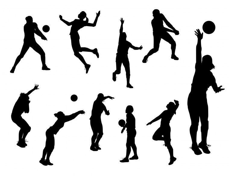 Волейбольный мяч вектор