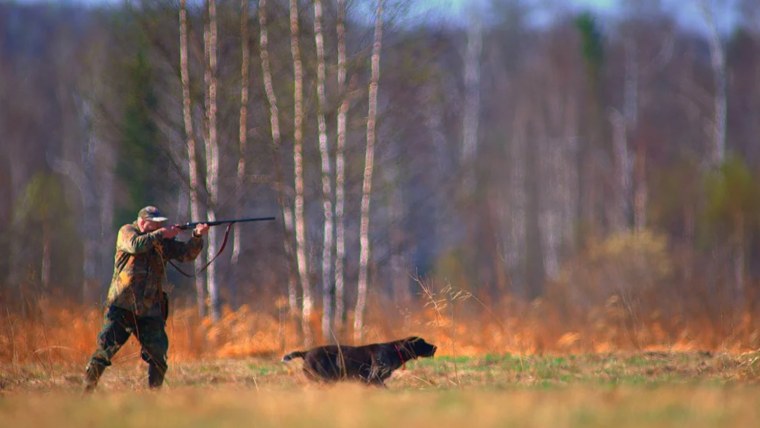 Охотничий туризм