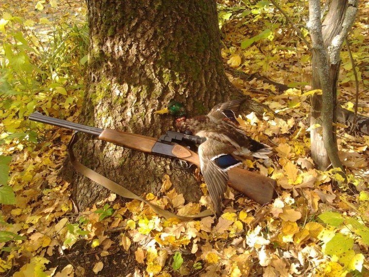 Охота Серпухов