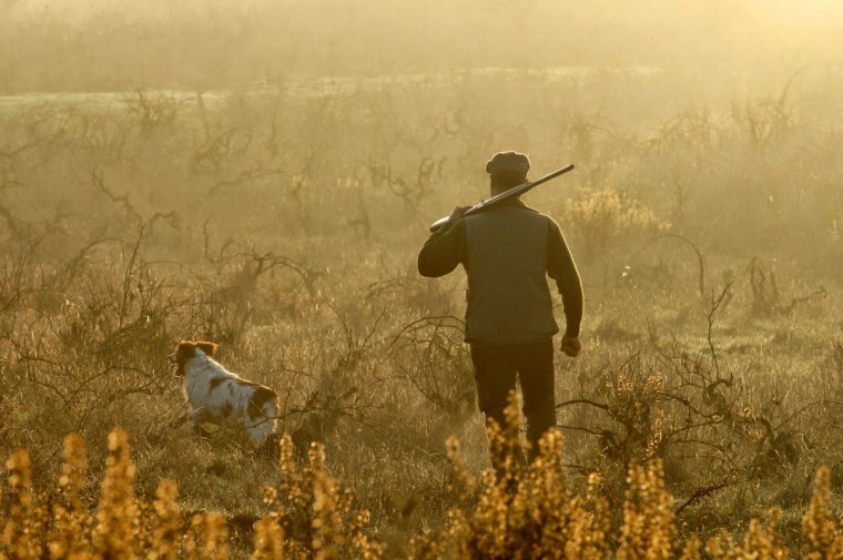 Охота в лесу