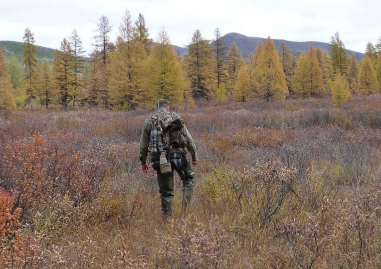 Охотник в поле