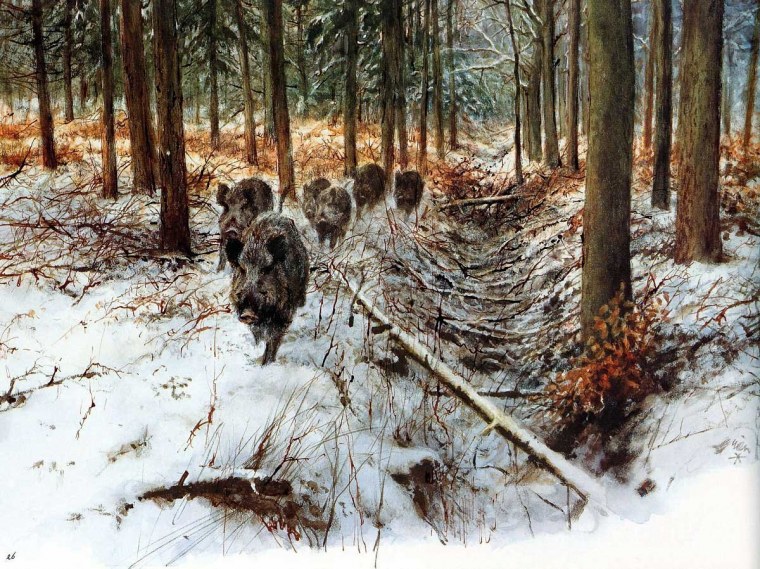 Савицкий Константин Аполлонович (1844-1905)