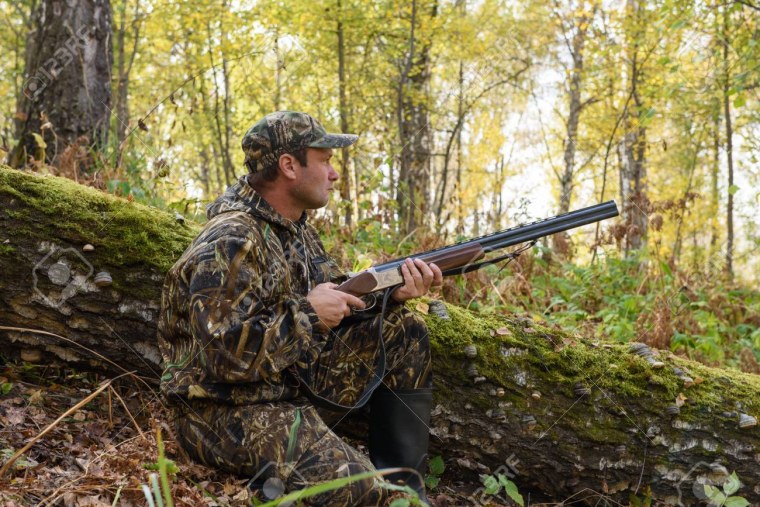 Собака на охоте