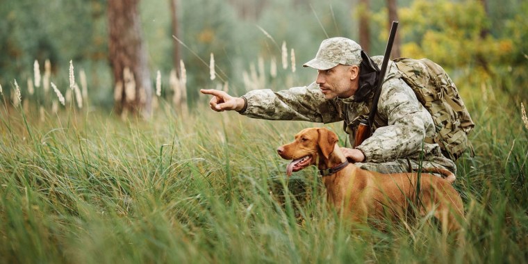 Охота на медведя в живописи