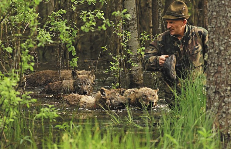 Бинокль «охотник»