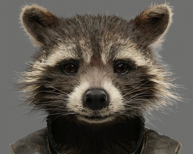 Енот полоскун арт