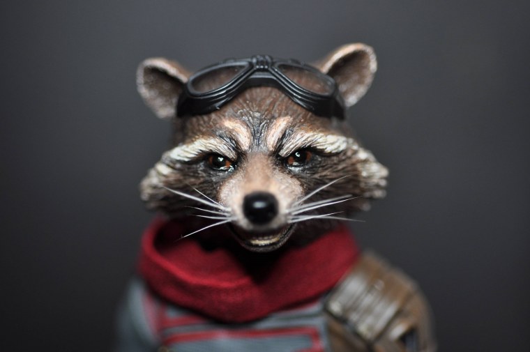 Енот аватарка