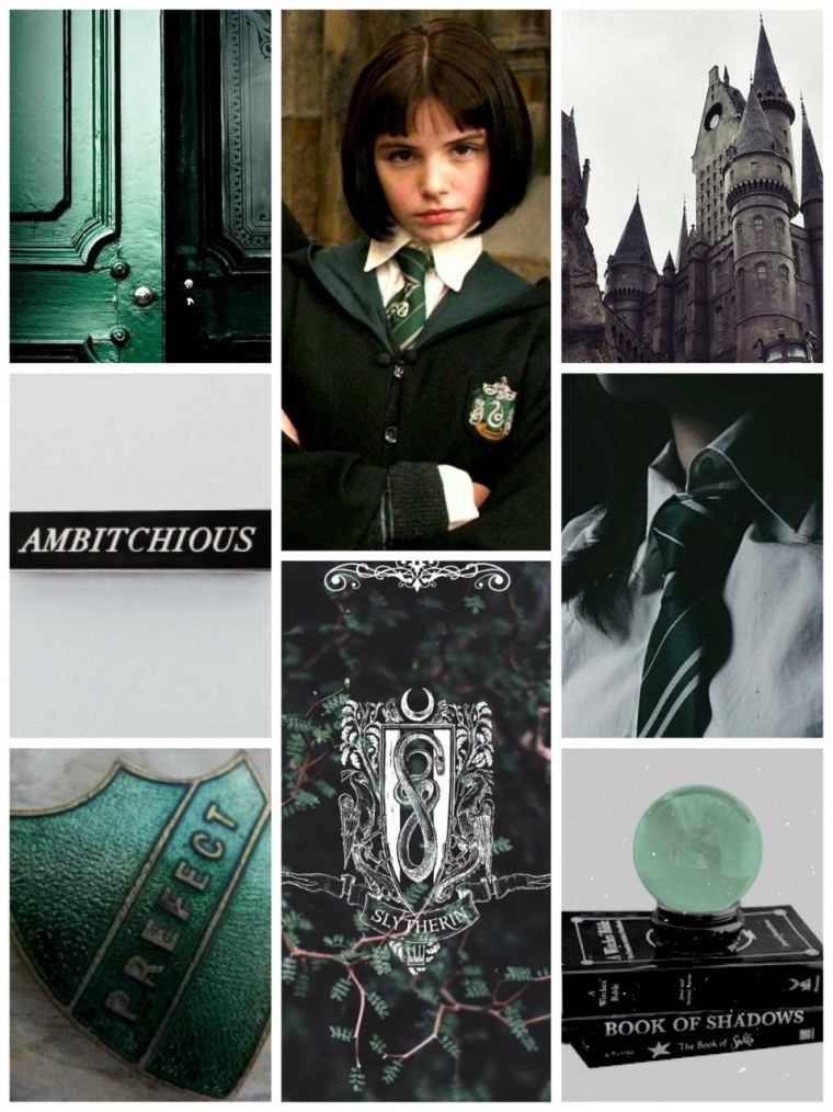 Гаррипоттерэстеика лсизерин