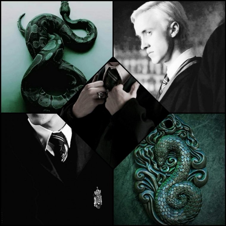 Слизерин Эстетика Риддл