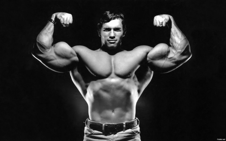Бодибилдинг на рабочий стол