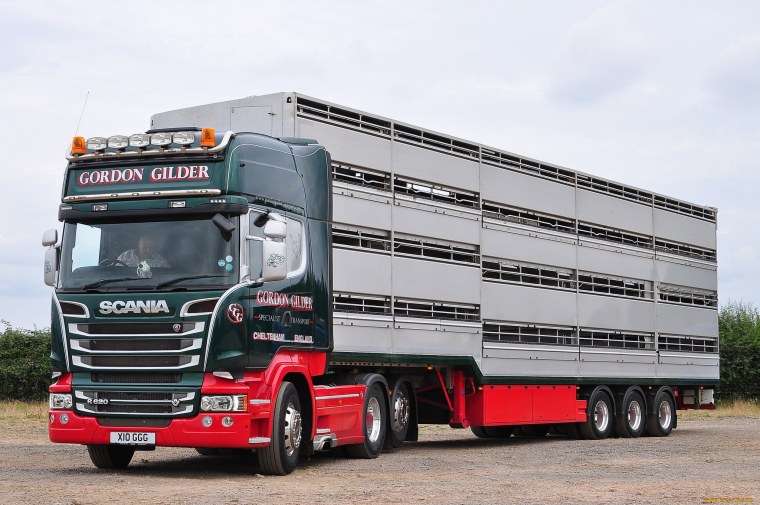 Девушки и фуры