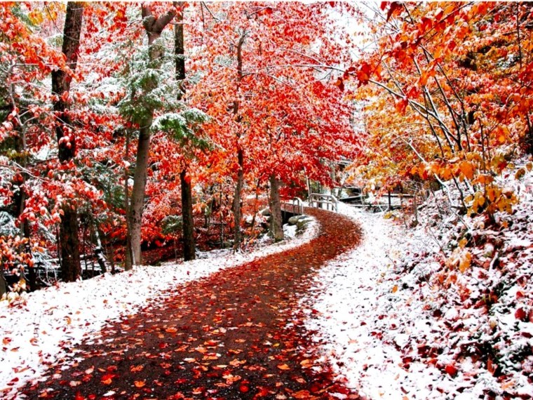 Снежная осень