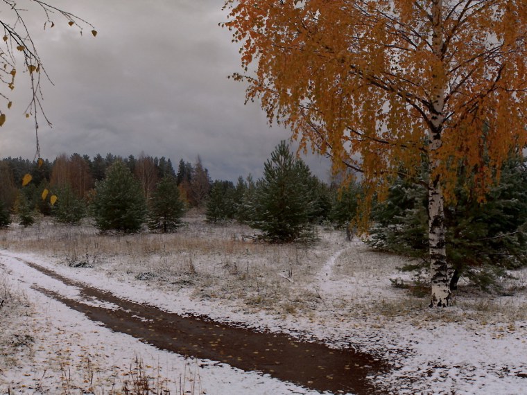 Снежная осень