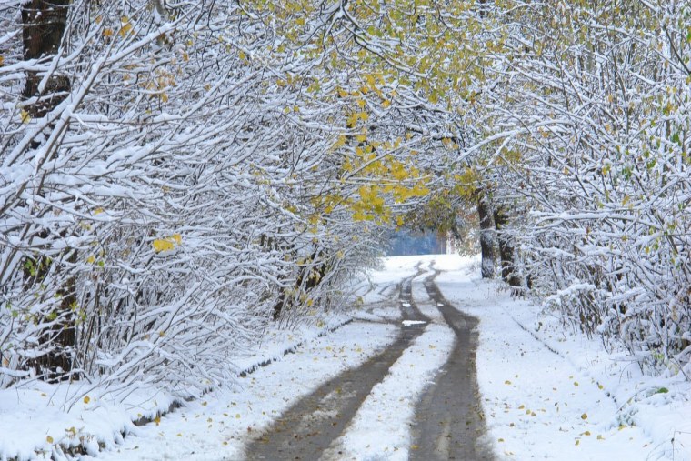 Первый снежок