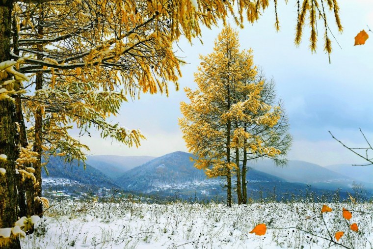 Природа ноябрь Сибирь