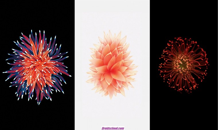 Iphone se 2 Wallpapers