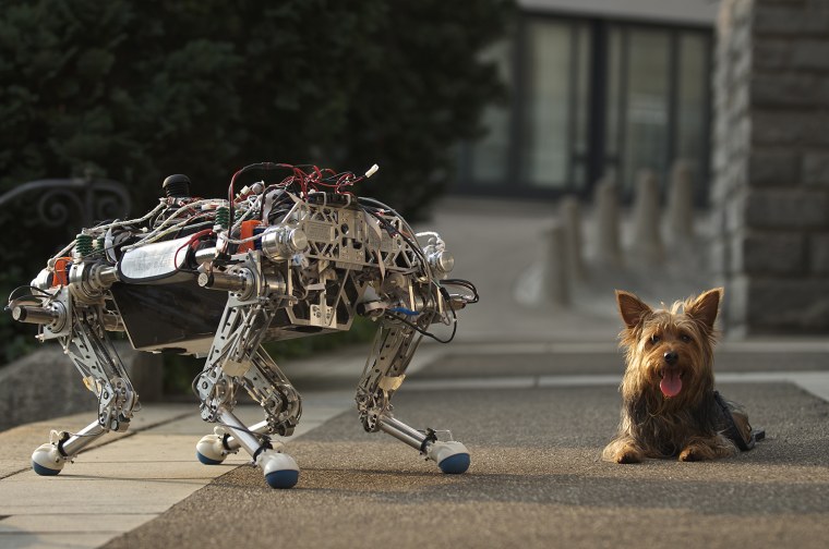 Собака дрон робот