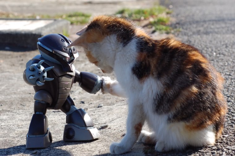 Забавные роботы