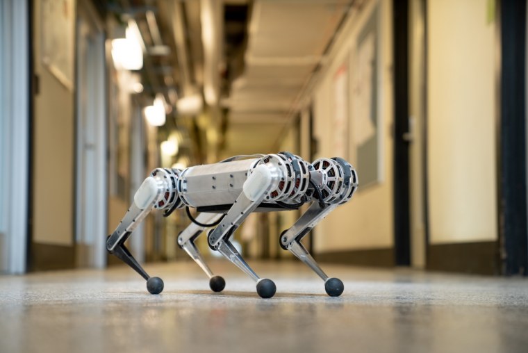 Cheetah робот Boston Dynamics
