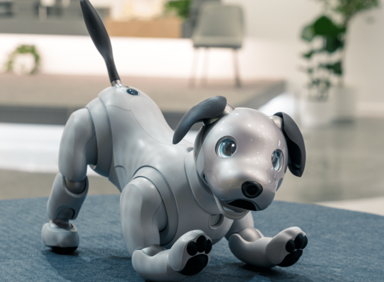 Робот Sony Aibo