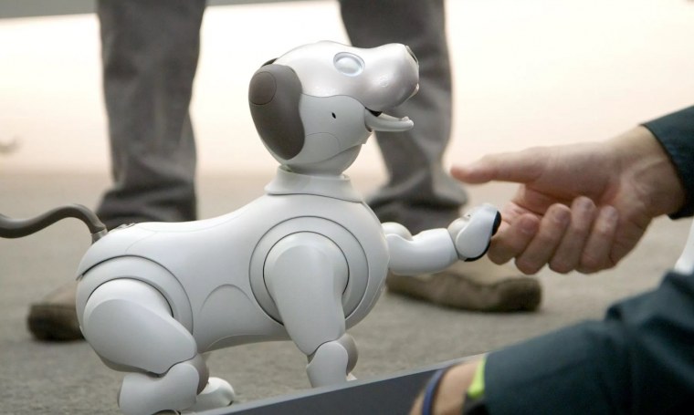 Вольфенштайн кампфхунд