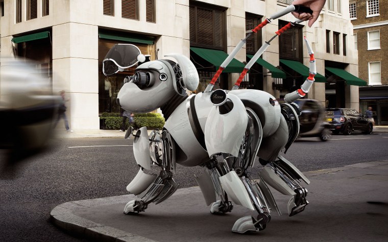 Роботы собачки будущего