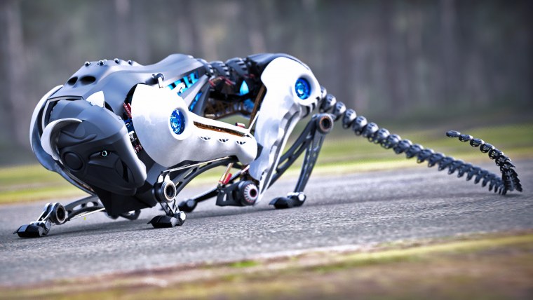 Кот робот настоящий