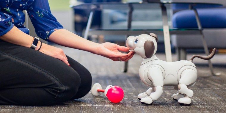 Роботы похожие на животных