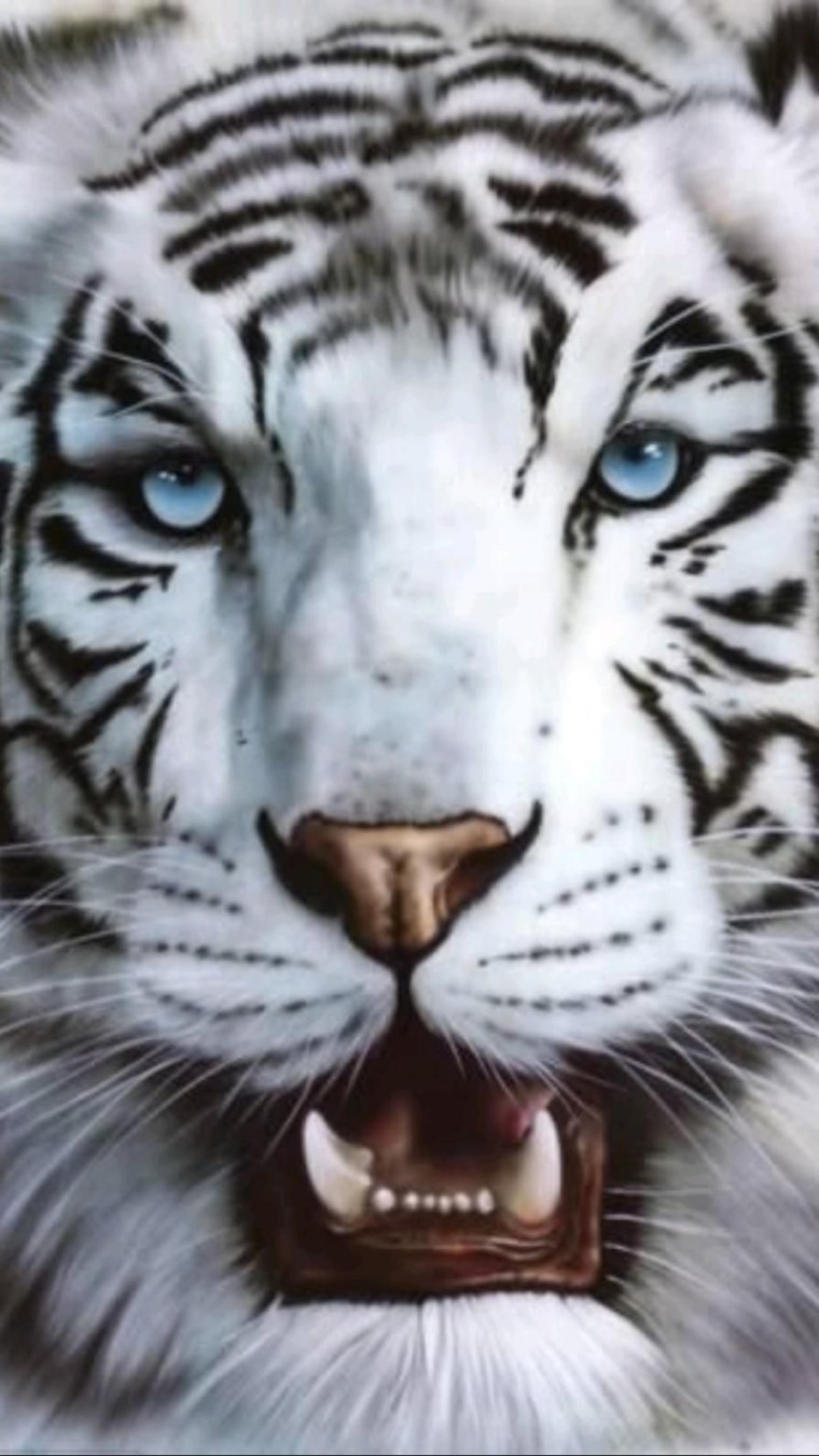 Оскал тигра тигра