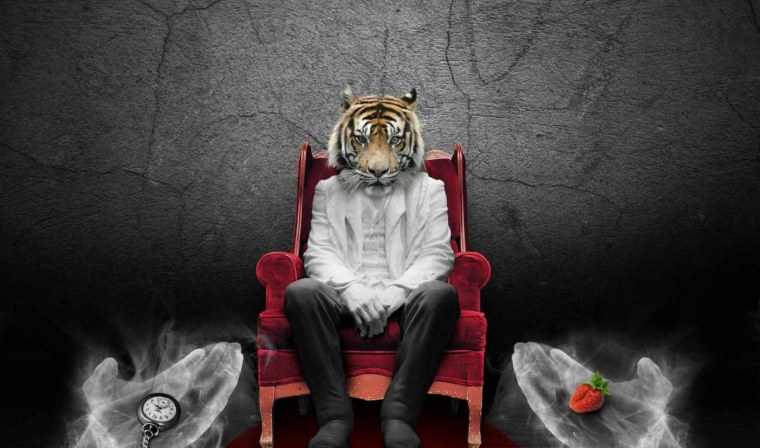 Взгляд тигра ex5808