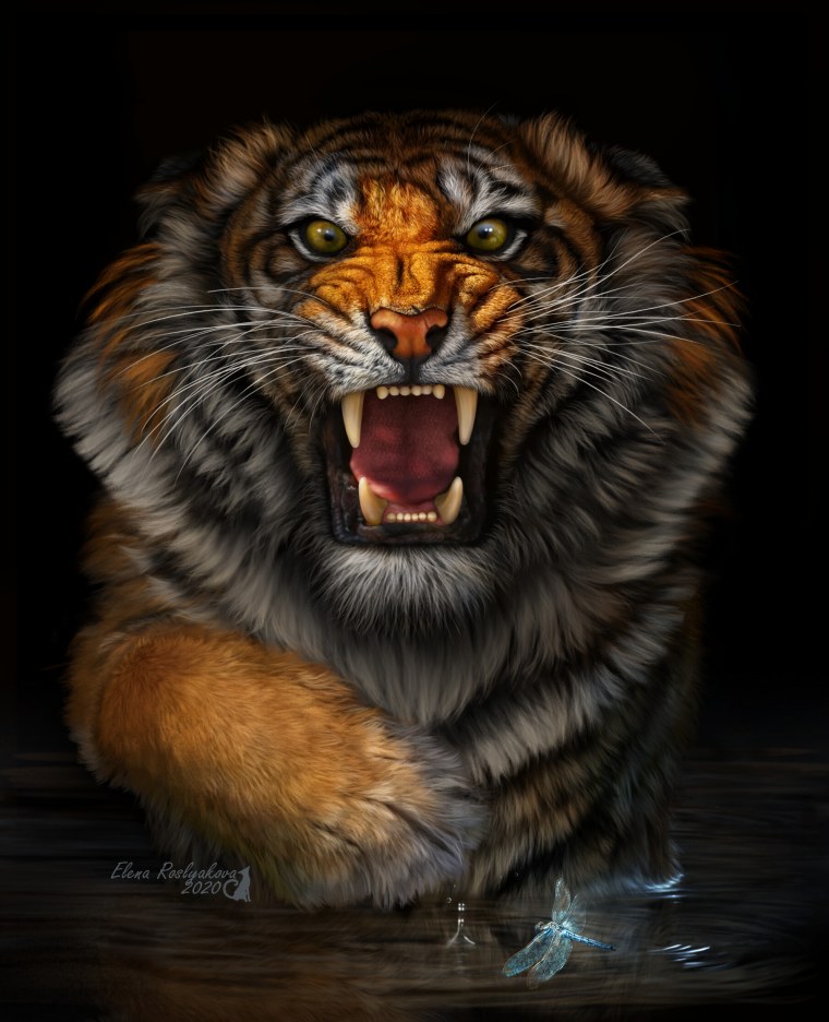 Человек с головой тигра