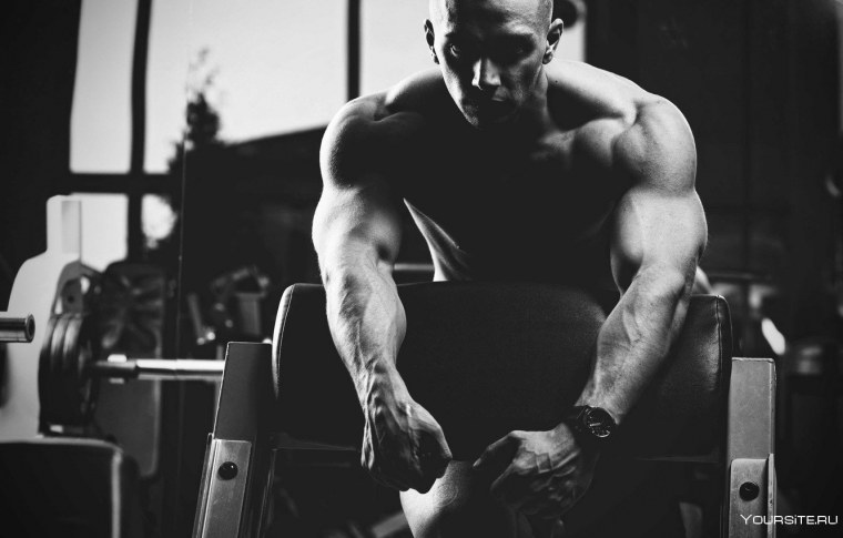 Красивые мышцы