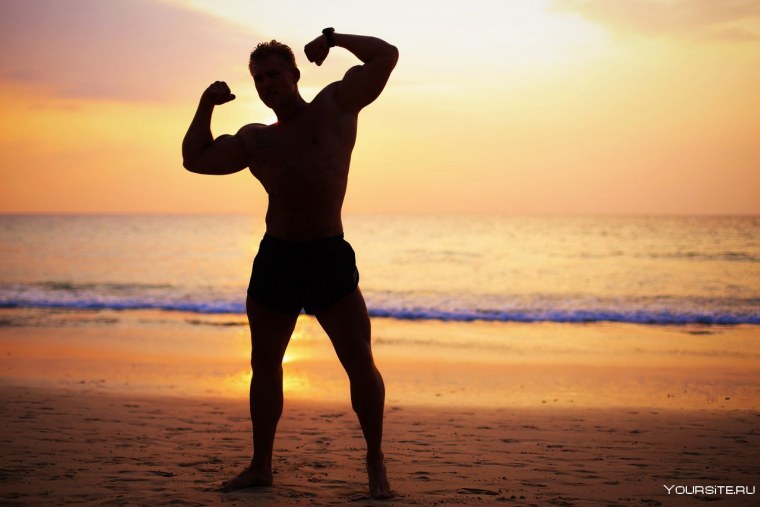 Мужской бицепс