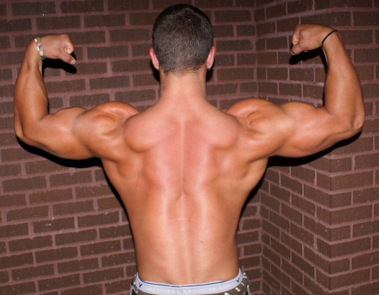 The Greatest Triceps in Bodybuilding History