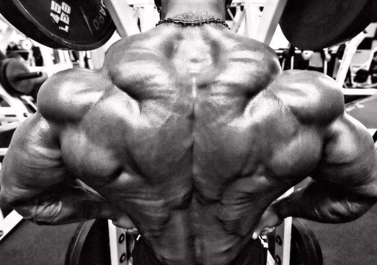 Огромная спина