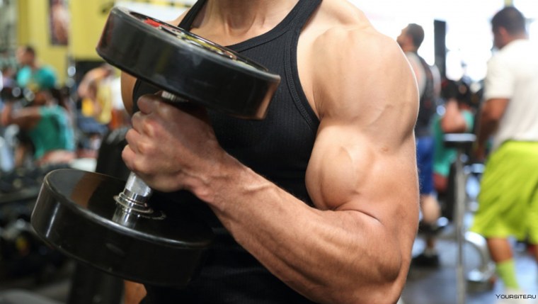 Александр Путинцев сыроед