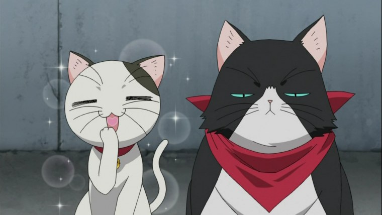 Котейки аниме