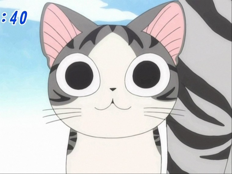 Аниме Нянпир котики