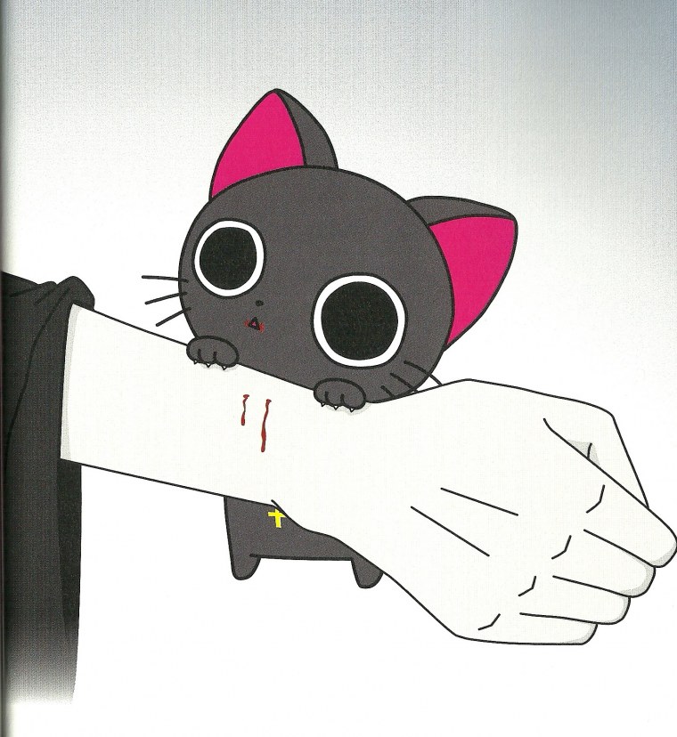 Оранжево черный кот