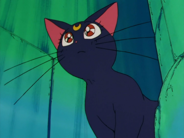 Аниме Хару кошечка