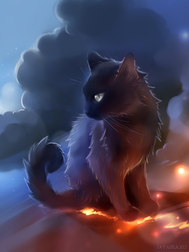 Темнее черного кот Мао