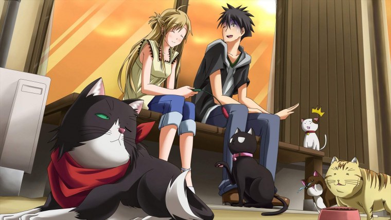 Няма кошачьи прихоти